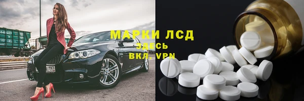 прущие грибы Абдулино