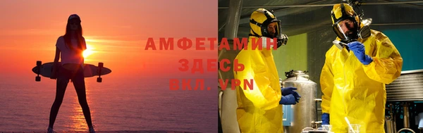 молекула духа Пестово