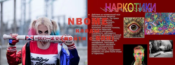 прущие грибы Абдулино